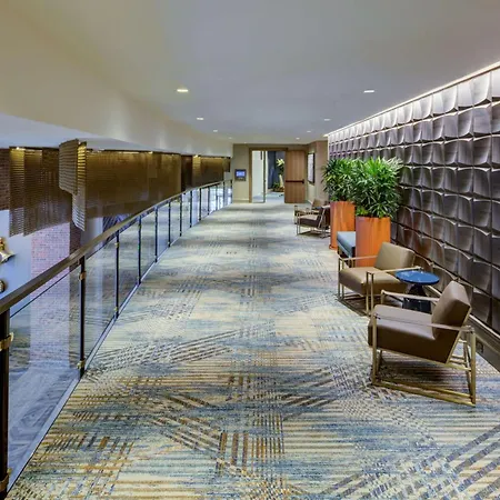 Embassy Suites By Hilton Virginia Beach Oceanfront Resort-3